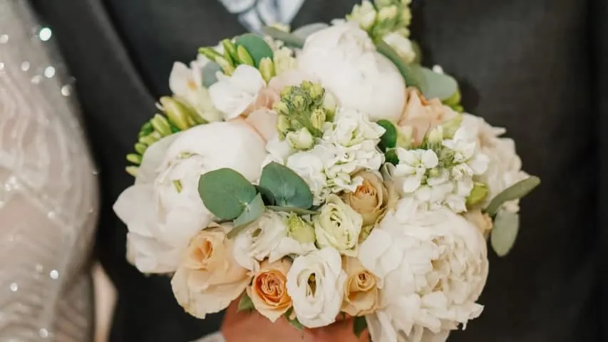 Фото: Юлия Чудинова / ИА "Север-Пресс"