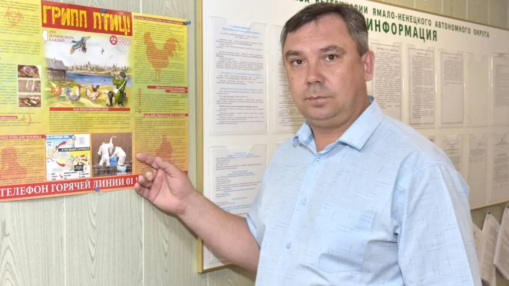 Андрей Ткачёв / КРАСНЫЙ СЕВЕР