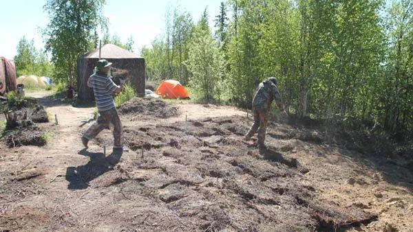 Фото предоставлено Научным центром изучения Арктики