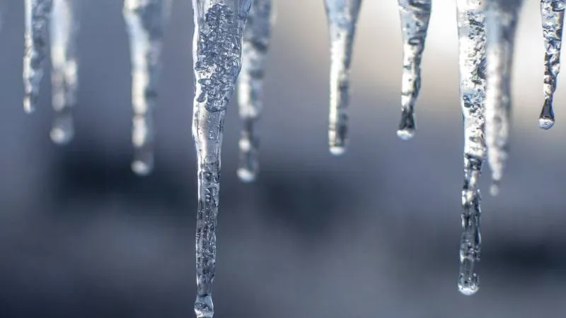 Фото: pixabay.com