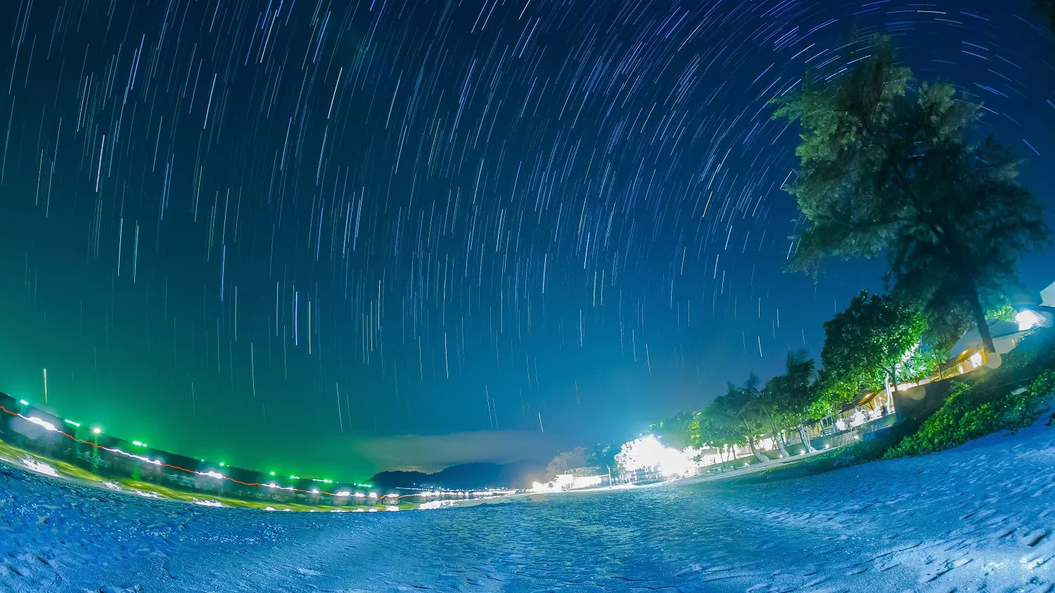 Фото: BAUSRIYOSTHIYA / shutterstock.com