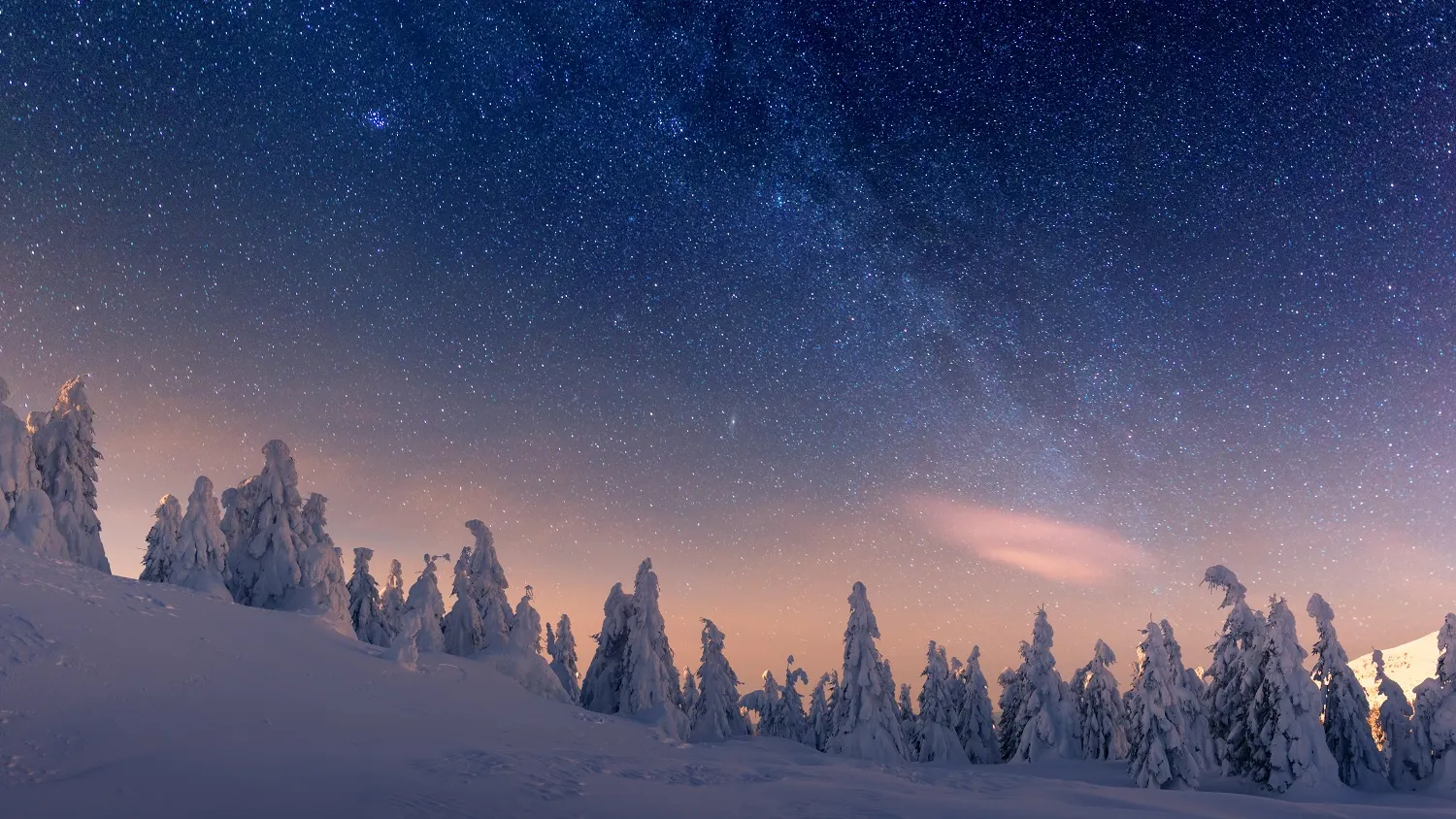 Фото: shutterstock.com