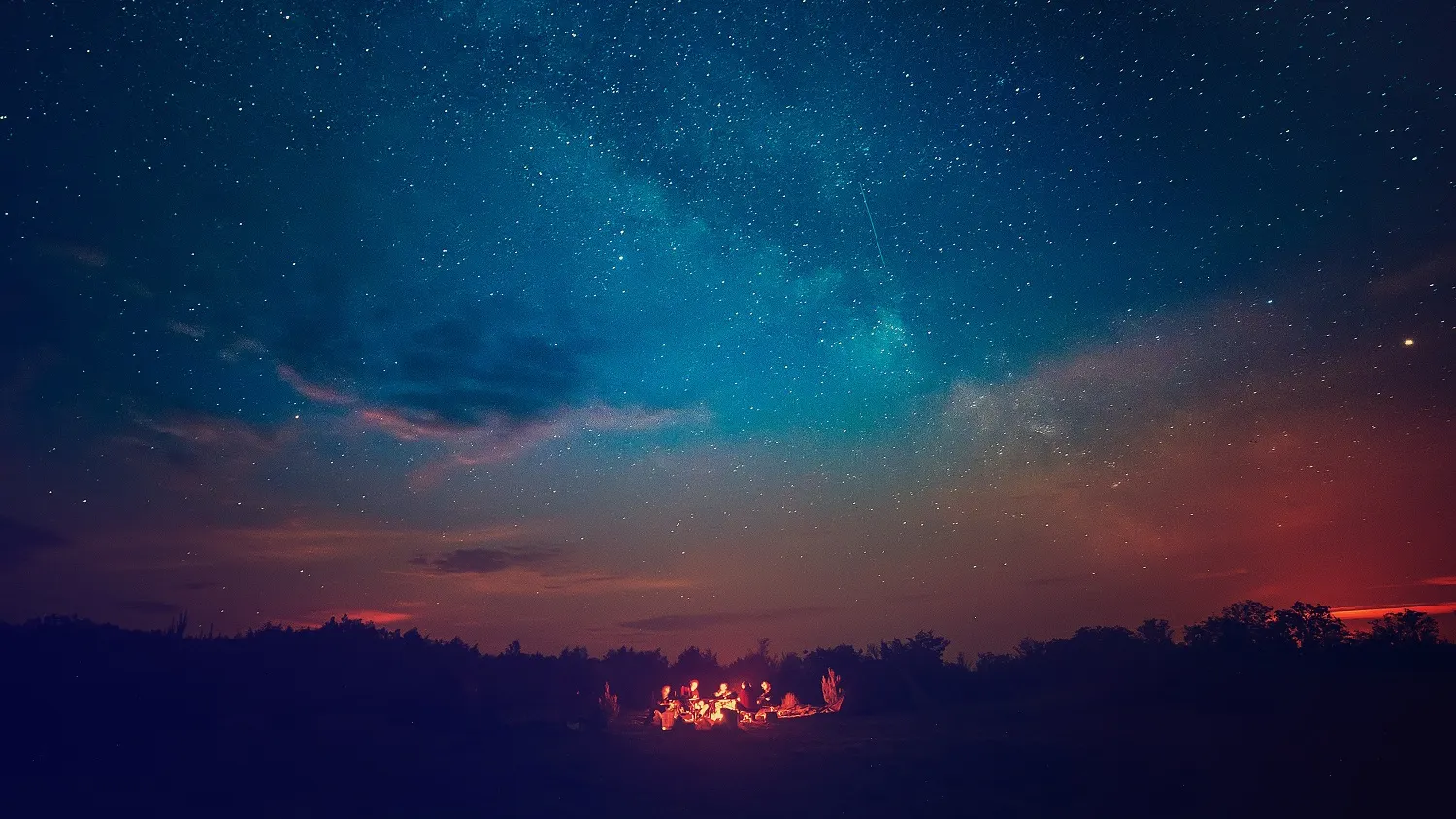 Фото: Roxana Bashyrova/shutterstock.com