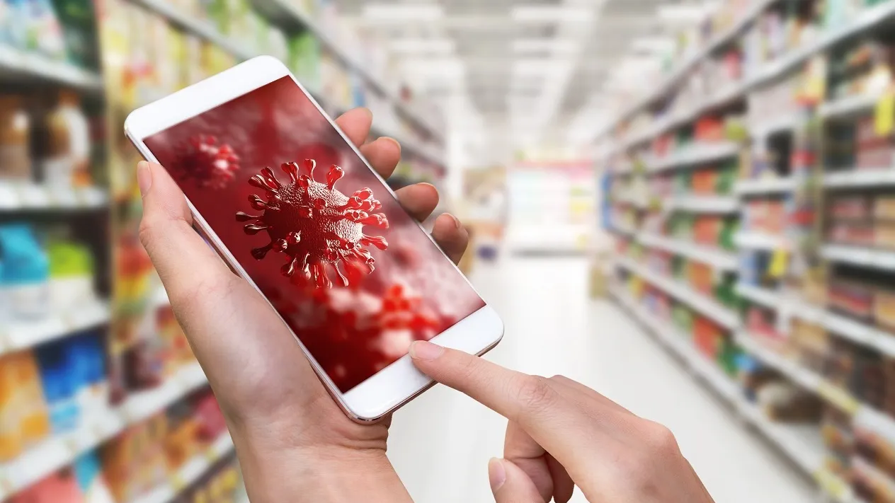 Фото: MiniStocker / shutterstock.com