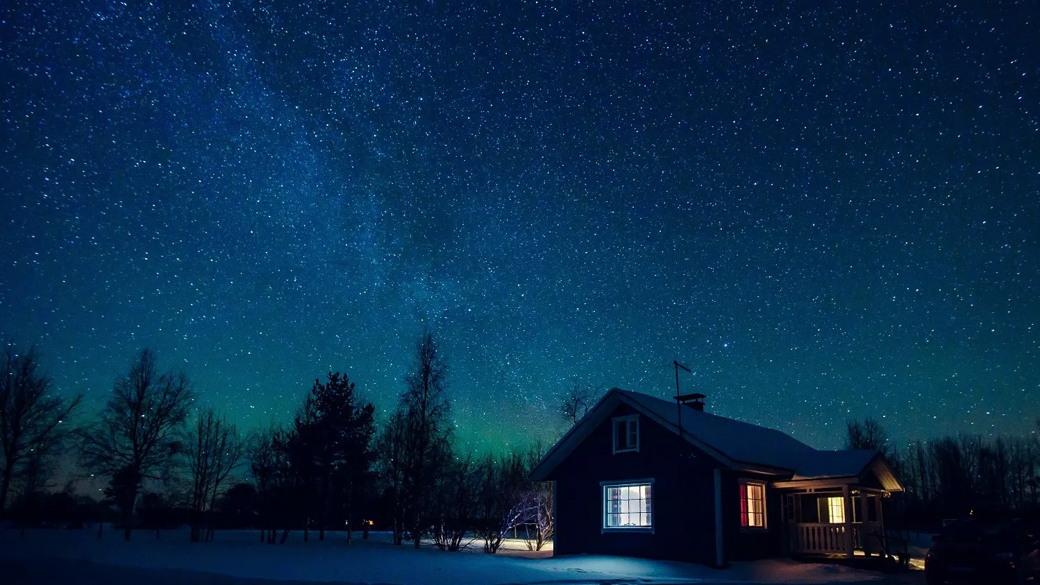 Фото: nblx / shutterstock.com