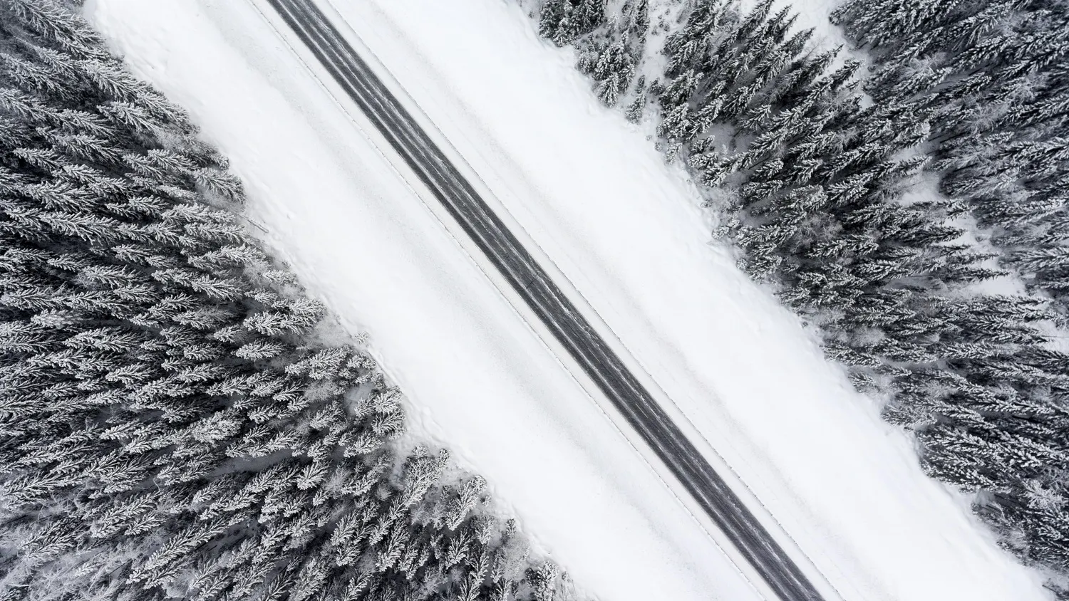Фото: Kekyalyaynen / shutterstock.com