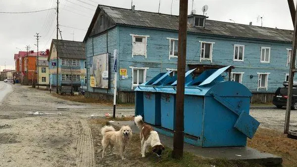 Фото: Анастасия Ульянова / КРАСНЫЙ СЕВЕР