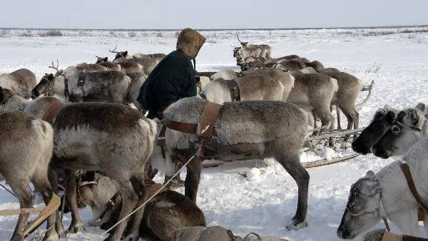 КРАСНЫЙ СЕВЕР