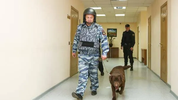 Фото: Данил Колосов / КРАСНЫЙ СЕВЕР