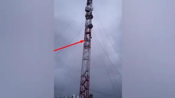 Скриншот с видео: официальный Instagram-аккаунт администрации поселка Ханымей