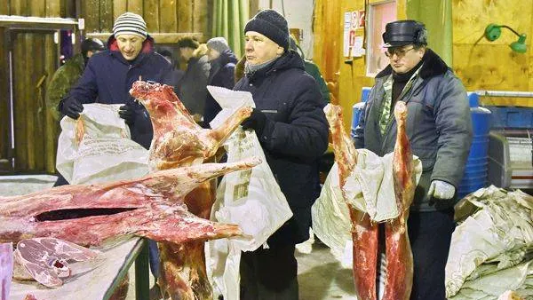   КРАСНЫЙ СЕВЕР