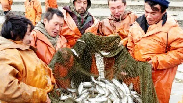 КРАСНЫЙ СЕВЕР