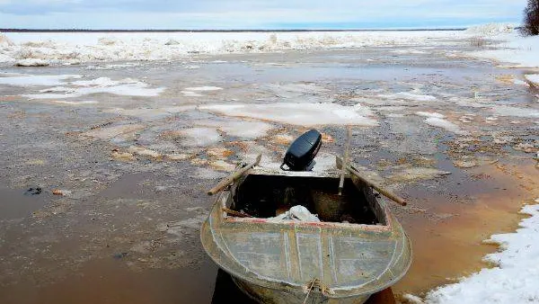 Фото: Александр Бейфус