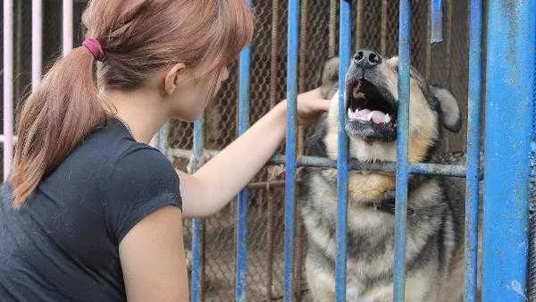 Пресс-служба администрации Губкинского