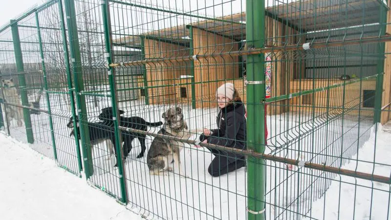 Фото: Анна Чернова / «Красный Север»