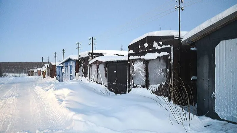 Фото: Анна Чернова / КРАСНЫЙ СЕВЕР