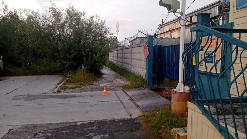 В Надыме под колеса попал велосипедист