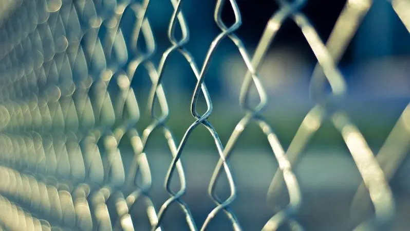 Фото: pixabay.com