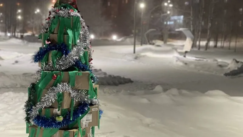 Фото предоставлено волонтерами «Будущее Арктики»