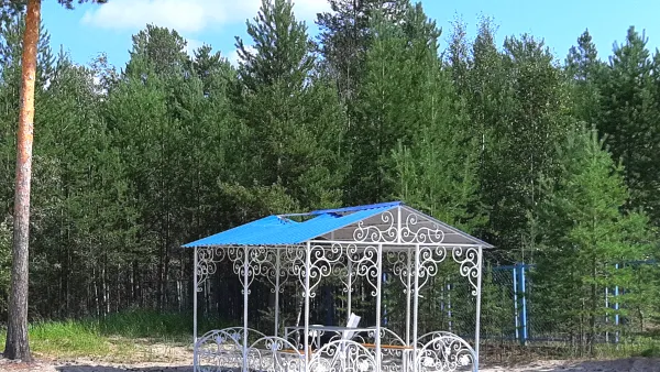 КРАСНЫЙ СЕВЕР