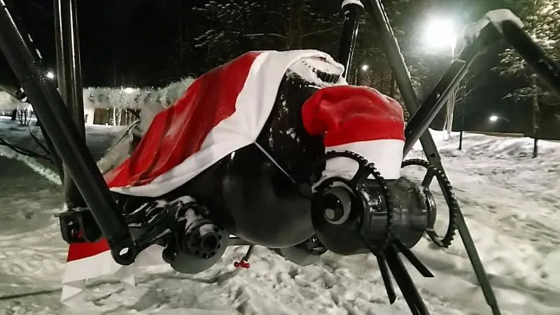 Фото: Валерия Акименко / КРАСНЫЙ СЕВЕР