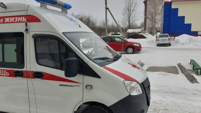 Фото: Валерия Акименко / КРАСНЫЙ СЕВЕР