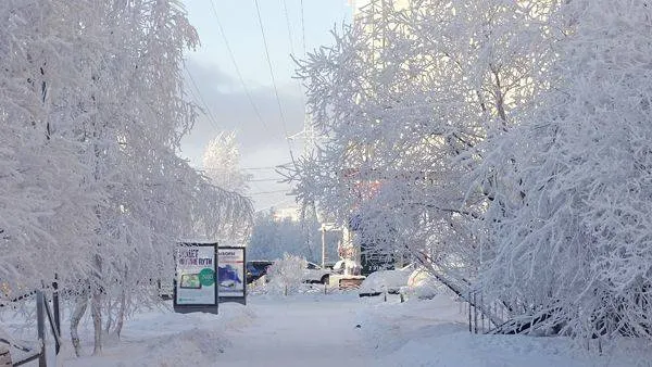 Фото из архива «Красного Севера»