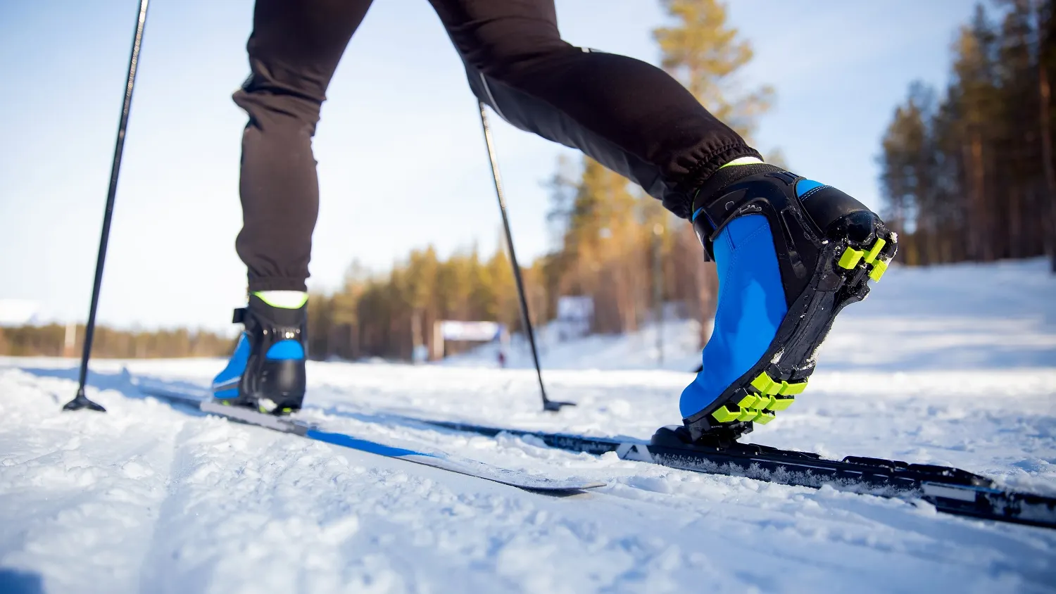 Фото: Parilov / shutterstock.com