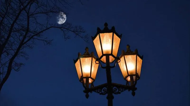 Фото: pixabay.com