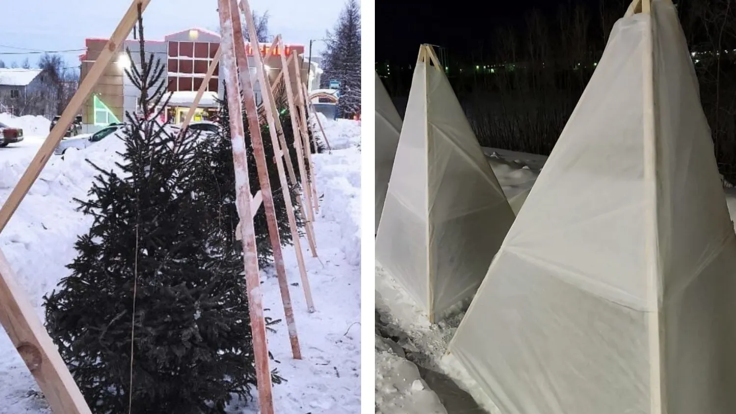 Фото: администрация Салехарда