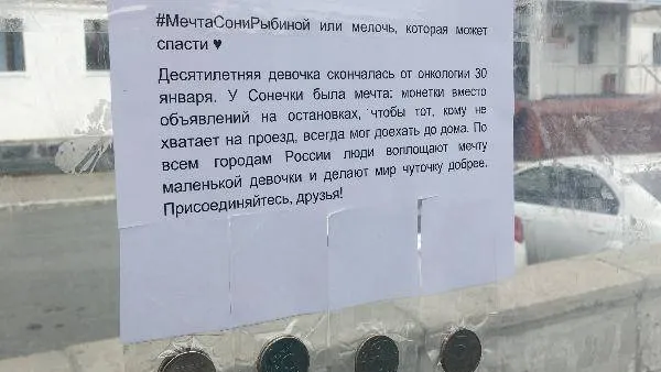 Фото: Владислав Мояк / КРАСНЫЙ СЕВЕР