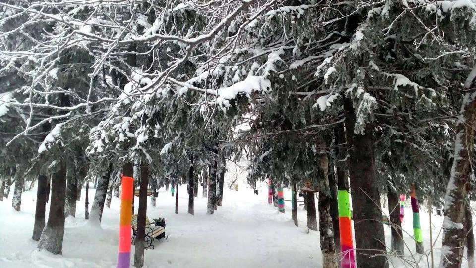 КРАСНЫЙ СЕВЕР