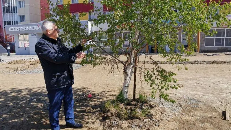 В Салехарде омолаживают деревья