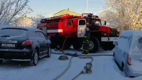Фото: Наталья Рыбьякова / «Красный Север»