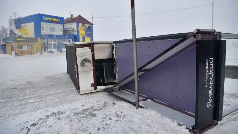 Фото: Андрей Ткачёв / «Красный Север»