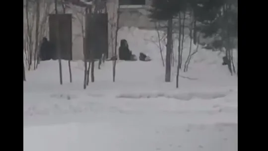 Фото: скриншот видео https://vk.com/wall-101615321_174472?reply=174507