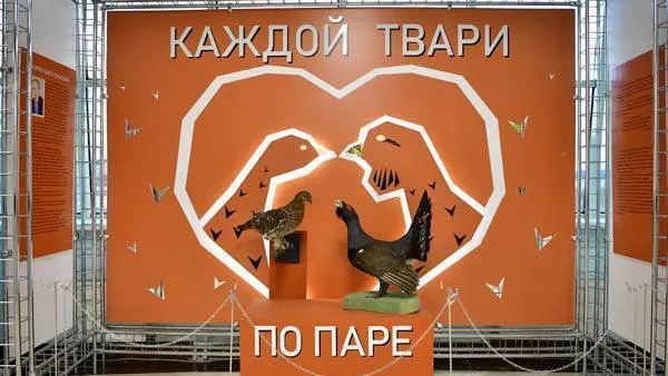 Фото: Андрей Ткачёв / КРАСНЫЙ СЕВЕР