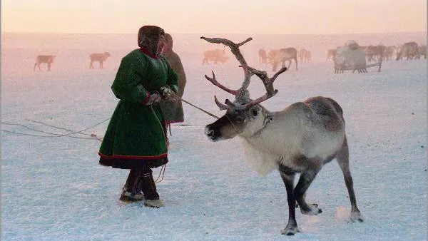 КРАСНЫЙ СЕВЕР