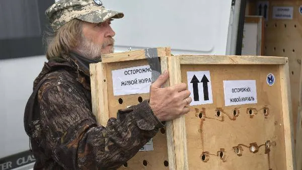 Фото: Андрей Ткачёв / «Красный Север»