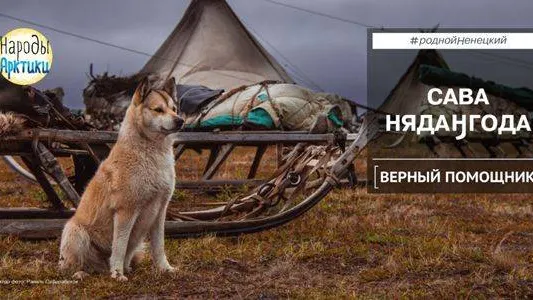 Фото: Равиль Сафарбеков