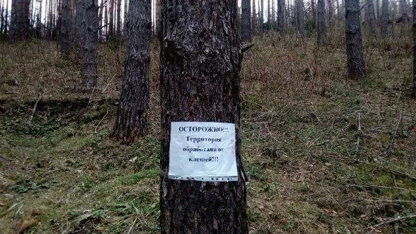 КРАСНЫЙ СЕВЕР / Владимир Ганчерко