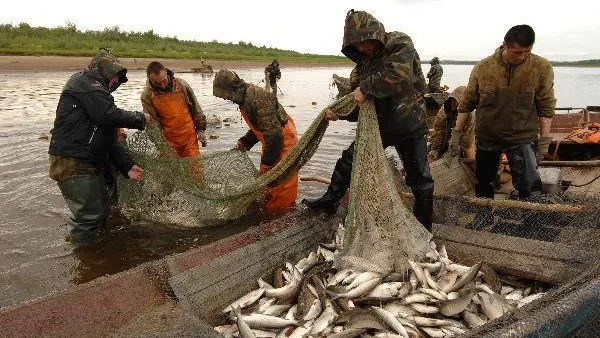 КРАСНЫЙ СЕВЕР