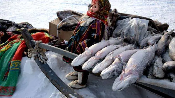 Фото: Андрей Ткачёв / «Красный Север»
