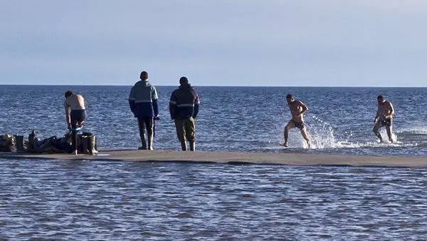 За очень короткое лето можно было успеть покупаться. До синевы.