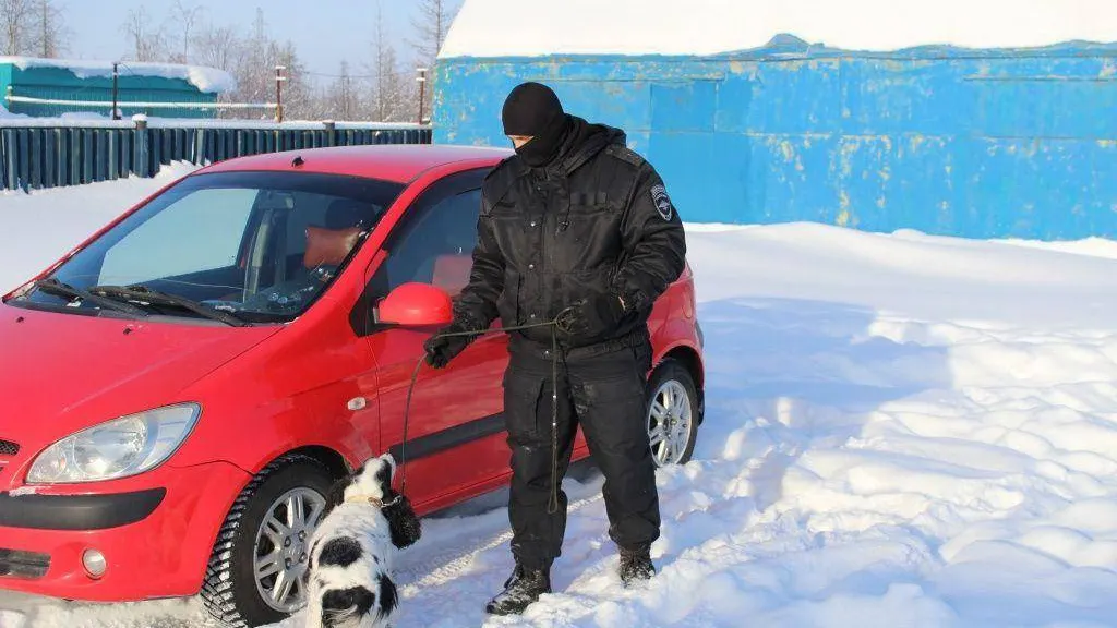 Для четвероногого бойца нет большей радости, чем похвала наставника