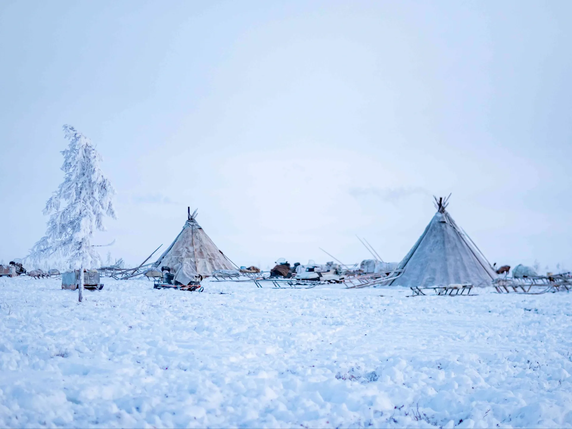 Лунка в море, точка в тундре. Как ориентируется кочевник | «Красный Север»