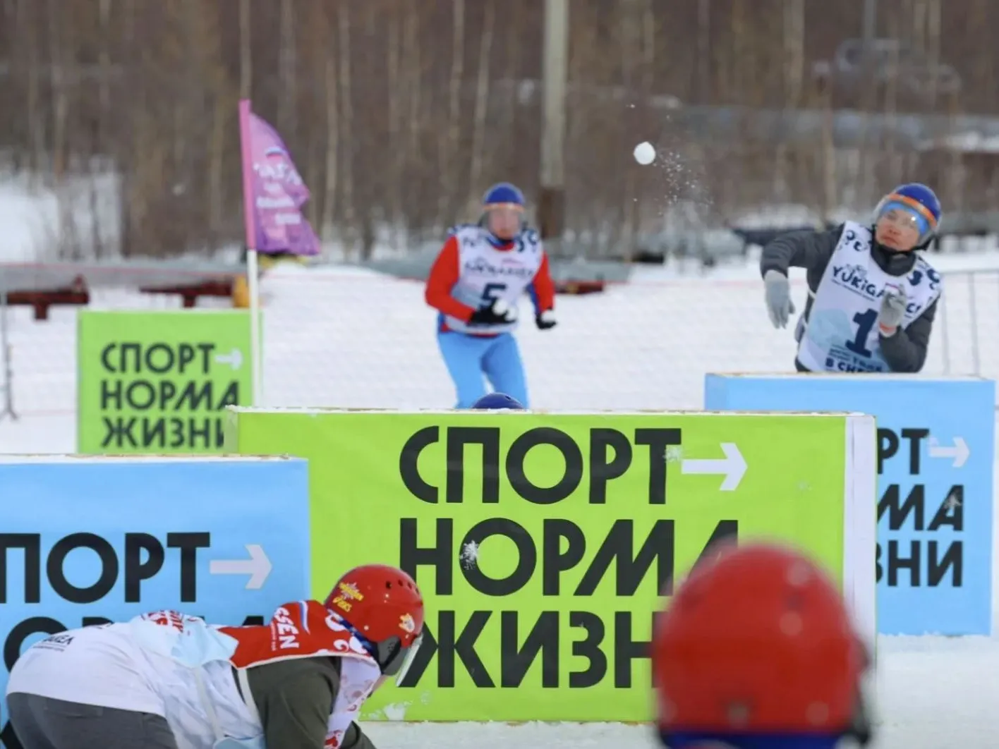 Холодные игры VS Zаморошка. Ямальцы голосуют за звучное название фестиваля  зимних игр | «Красный Север»