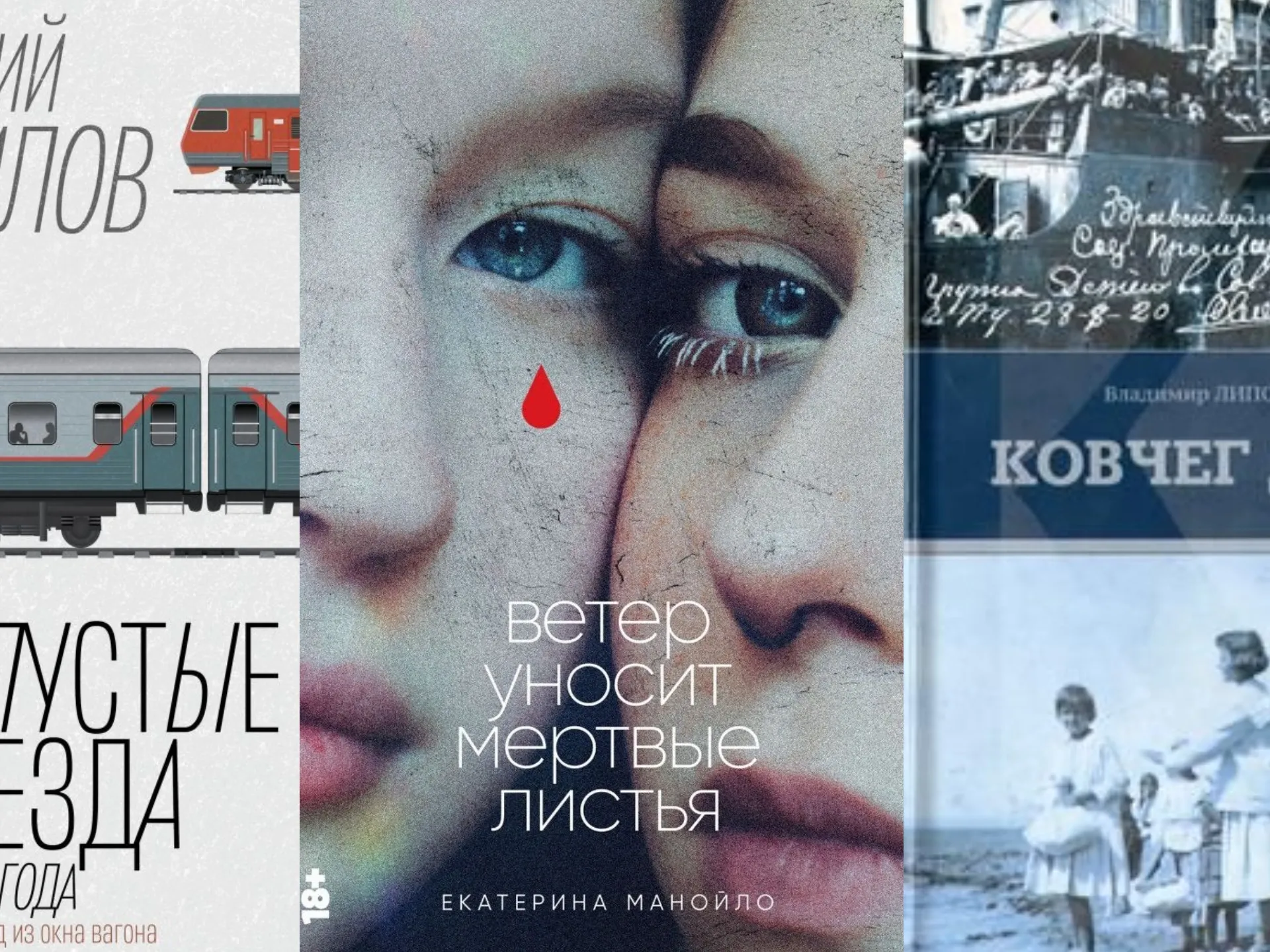 Книжные километры. Писатель в вагоне, сёстры в «Лексусе» и дети в море |  «Красный Север»