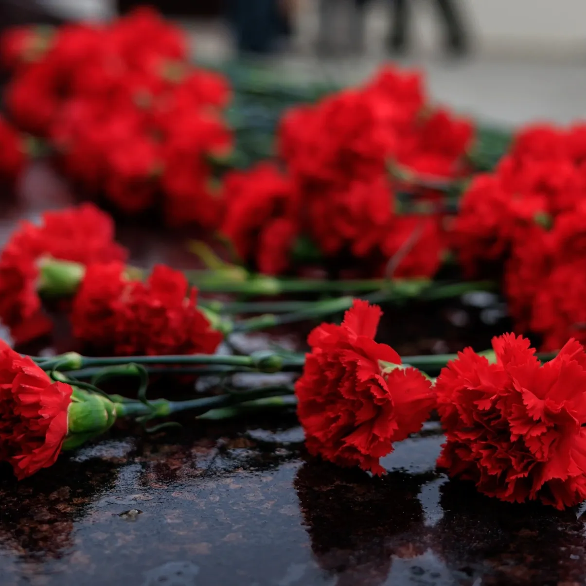 9 мая в Лабытнанги и Харпе: в программе концерты, митинги, конкурсы |  «Красный Север»