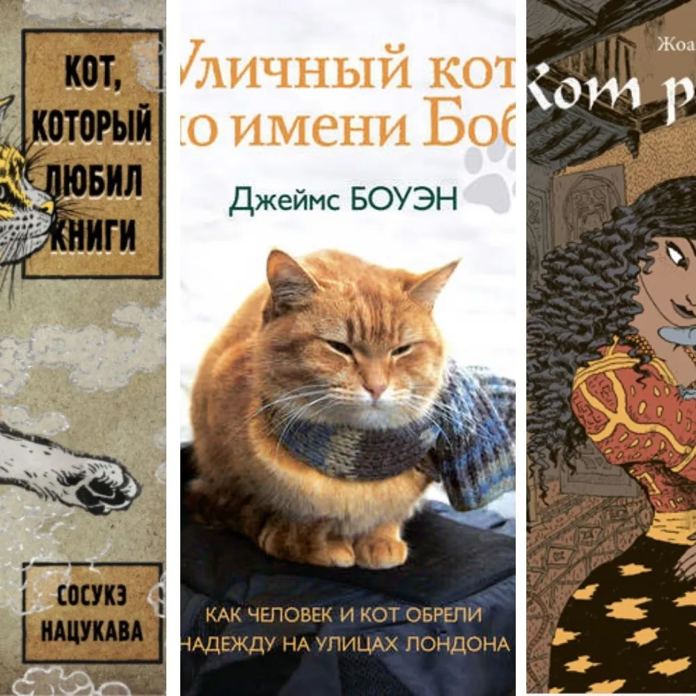 Устами котёнка: рыжий спаситель, хранитель книг и алжирский говорун |  «Красный Север»